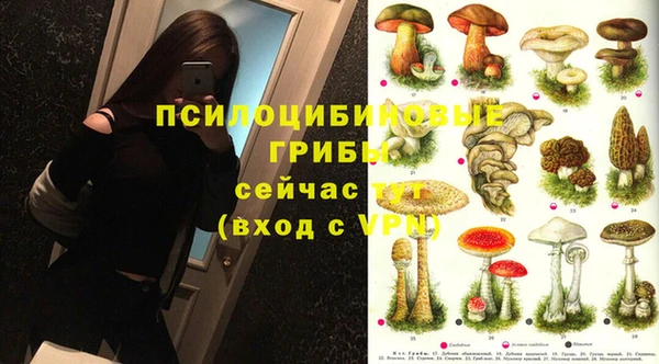 герыч Бородино