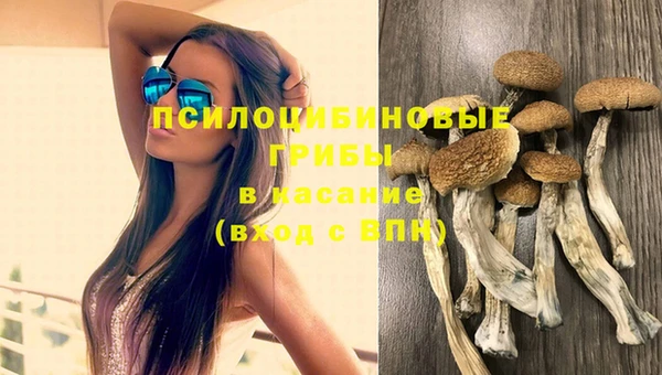 герыч Бородино