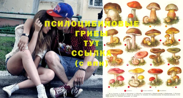прущая мука Бронницы