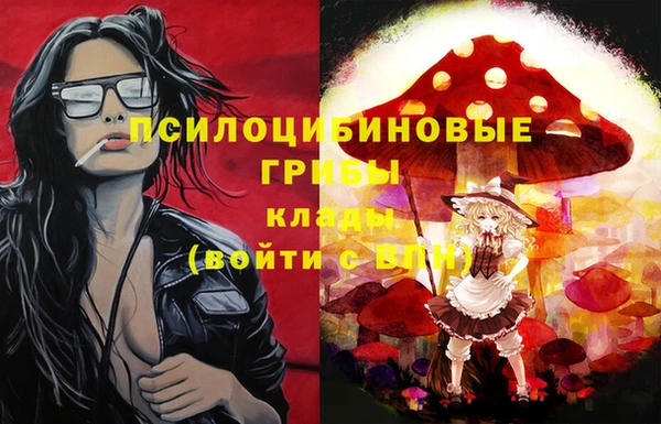 герыч Бородино