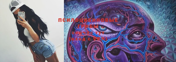 спиды Бугульма