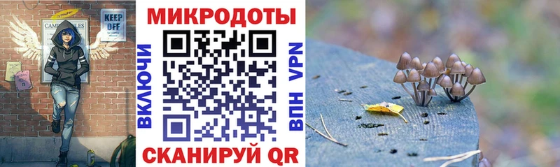 Галлюциногенные грибы Psilocybe Короча