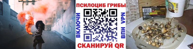 mega рабочий сайт Короча Псилоцибиновые грибы Psilocybe